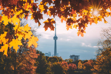 Your Perfect Fall Day, Scented by Our Autumn Ambiance Collection
