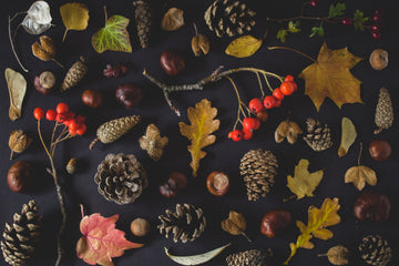 Mood-Boosting Benefits of Fall Scents: From Salted Caramel to Orange Zest