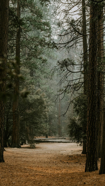 Earthy