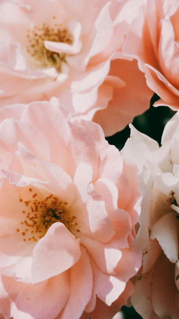 Floral