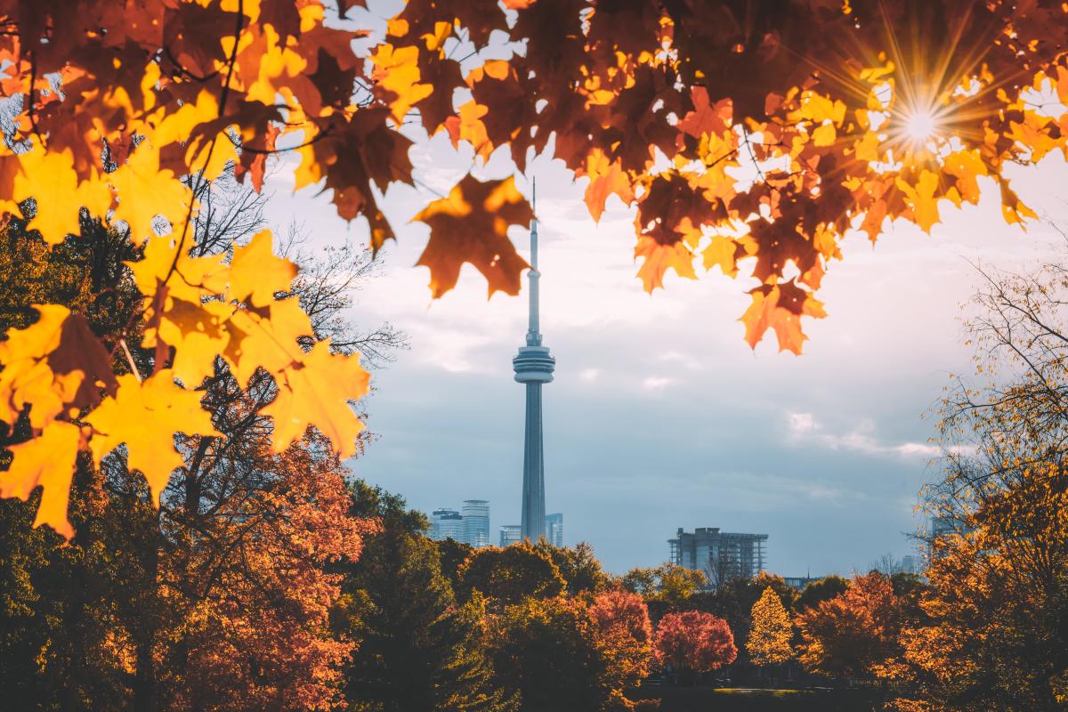 Your Perfect Fall Day, Scented by Our Autumn Ambiance Collection