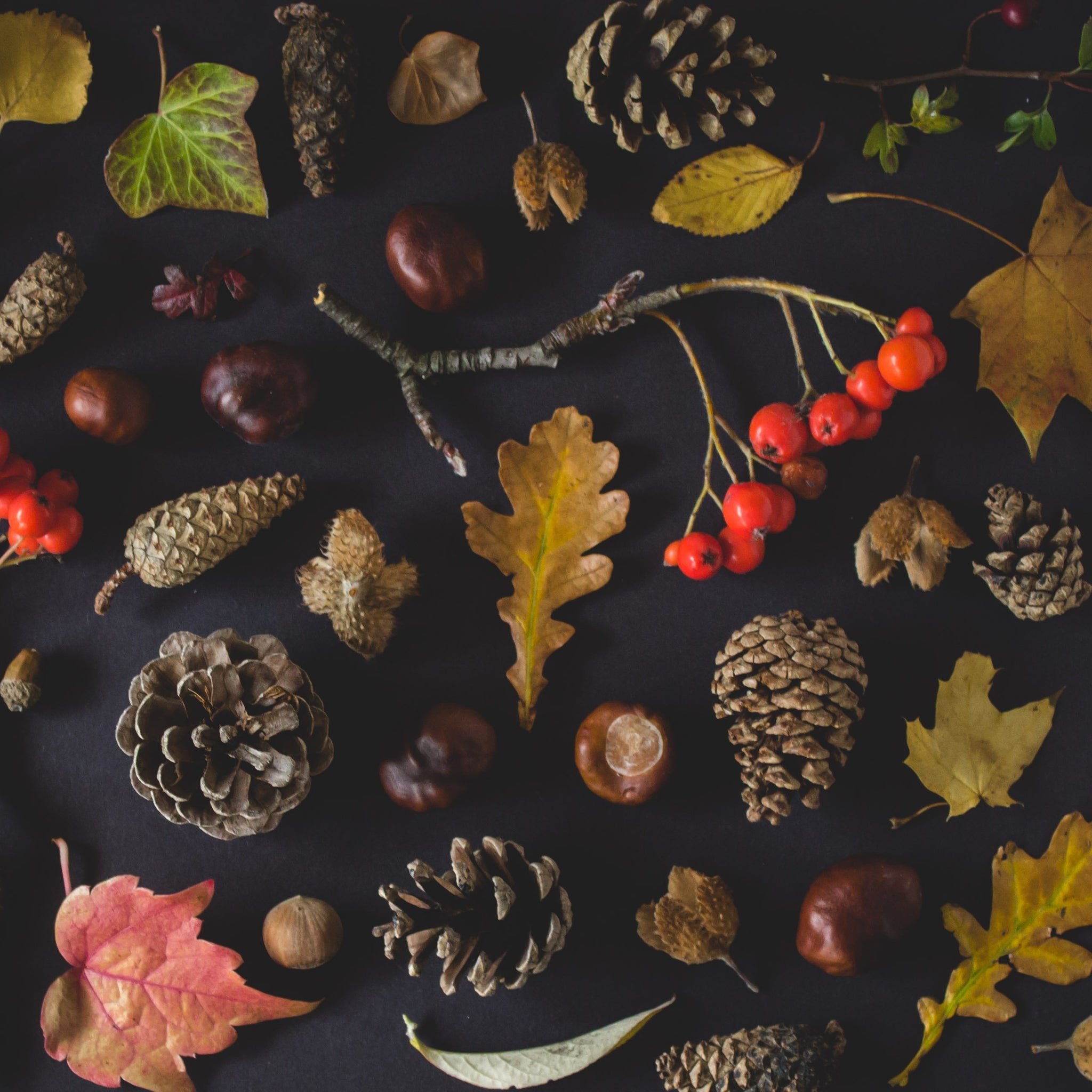 Mood-Boosting Benefits of Fall Scents: From Salted Caramel to Orange Zest